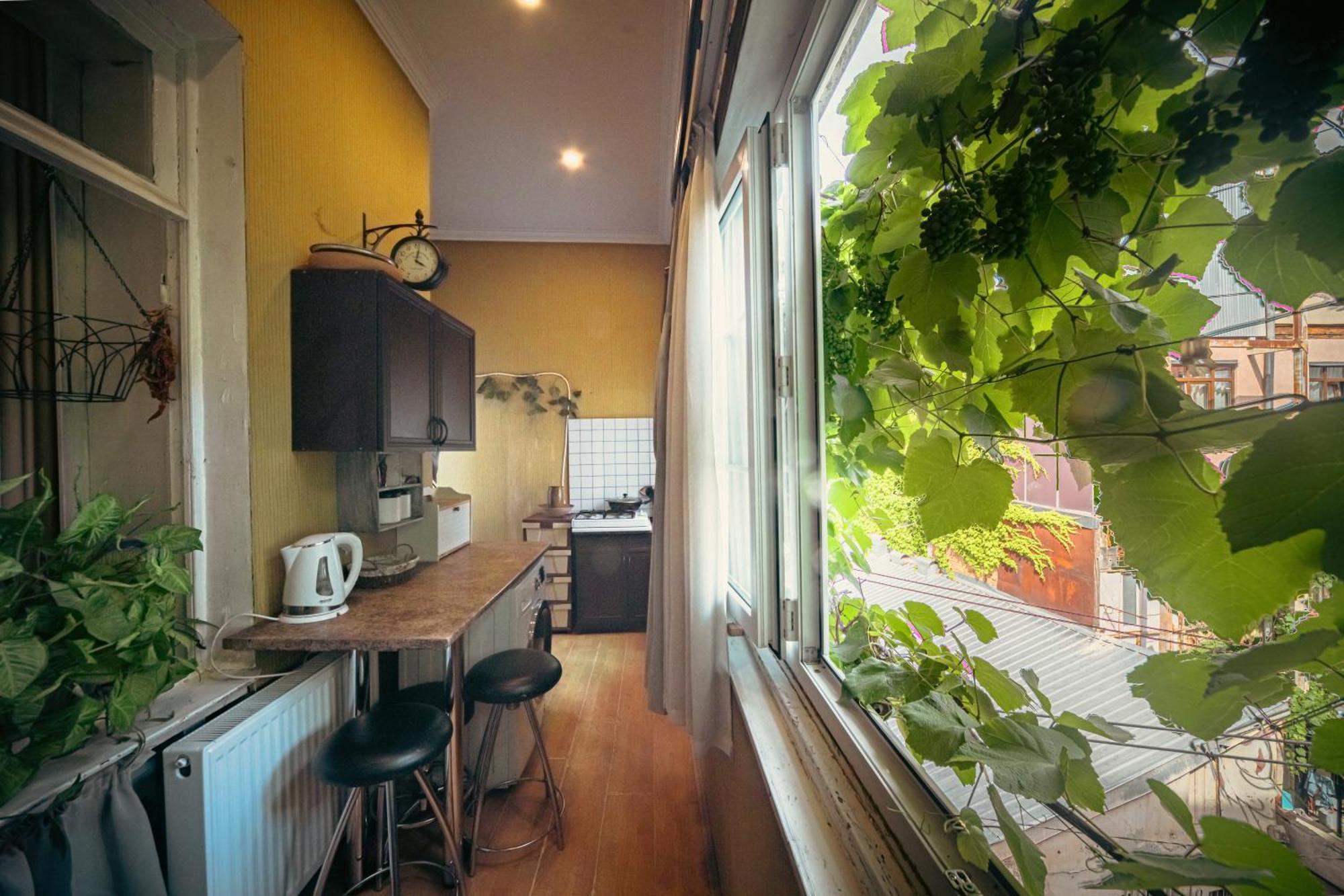 Guest House Tabukashvili 31 第比利斯 外观 照片