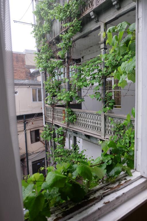Guest House Tabukashvili 31 第比利斯 外观 照片