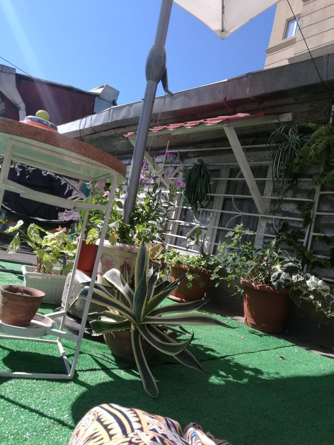 Guest House Tabukashvili 31 第比利斯 外观 照片